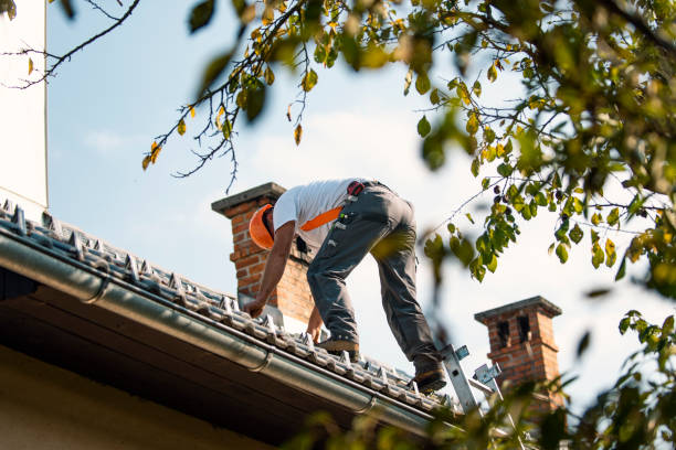 Best Roof Gutter Cleaning  in Monroeville, IN