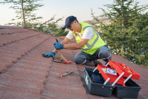 Best Local Roofing Companies  in Monroeville, IN